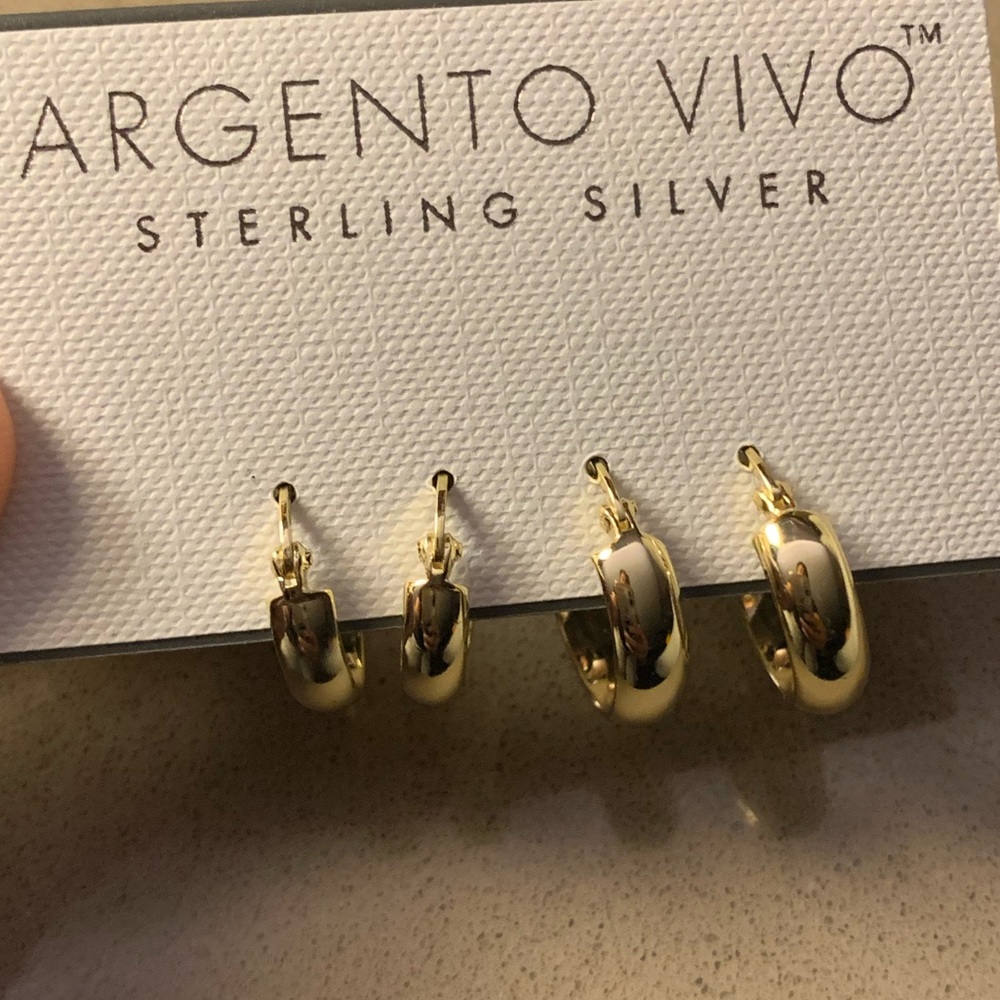 Argento Vivo set of 2 Hoop Gold Earrings